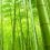 The west ditching failing aged care for luxury resort-style life in Asia
