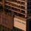 Investor to build mixed use multigenerational residential tower
