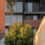 Housing project delivers 50 homes for women at risk of homelessness