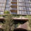 Boomers snap up $140m worth of apartments in new beachside tower