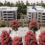 Best retirement housing design for Global Awards shortlisted