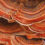 Woman buried in mycelium casket in the Mountains
